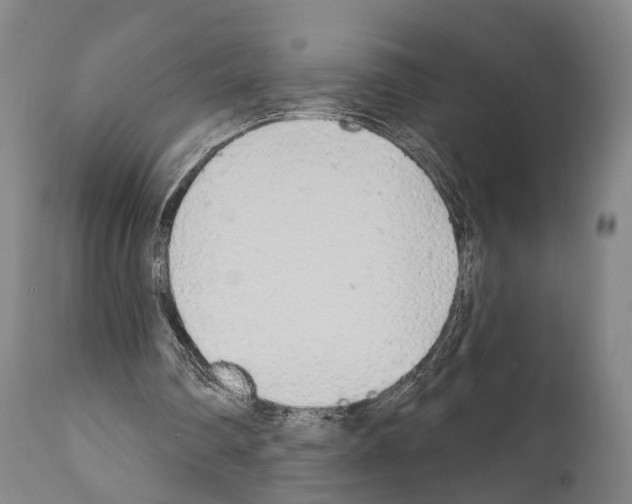 X0000111170290200908121053