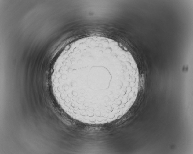 X0000111170291200908121053