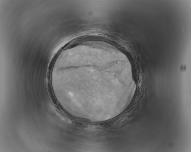 X0000111170292200908121053