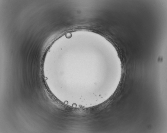 X0000111170293200908121053