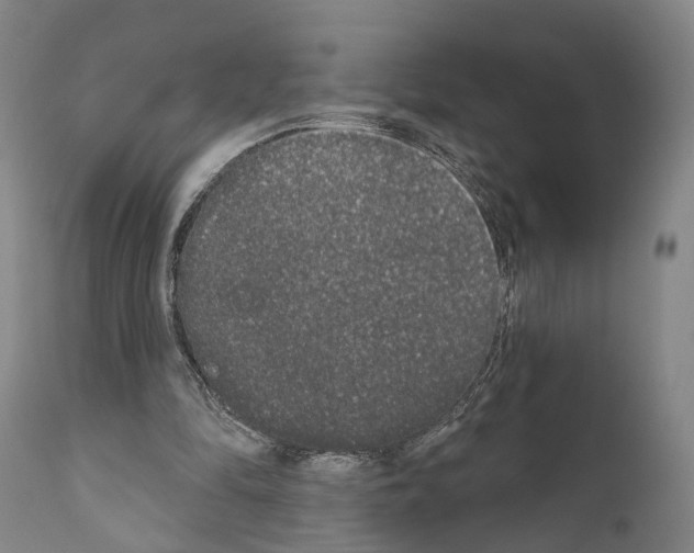 X0000111170294200908121053