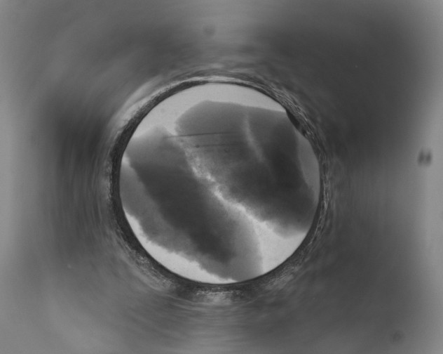 X0000111170295200908121053