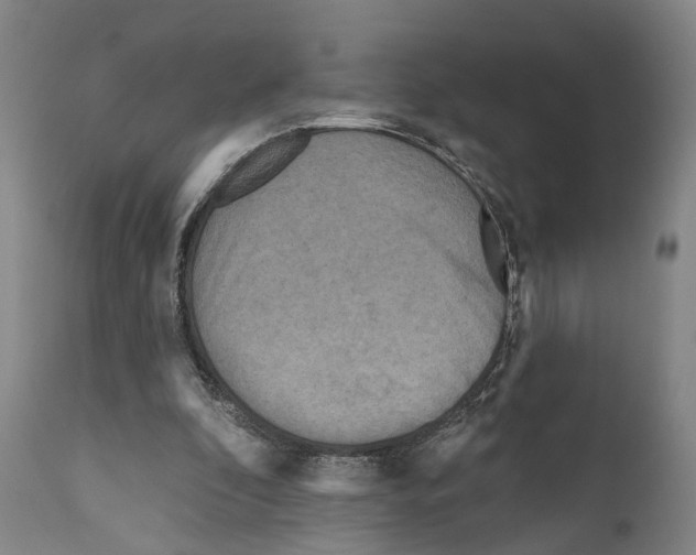 X0000111170296200908121053