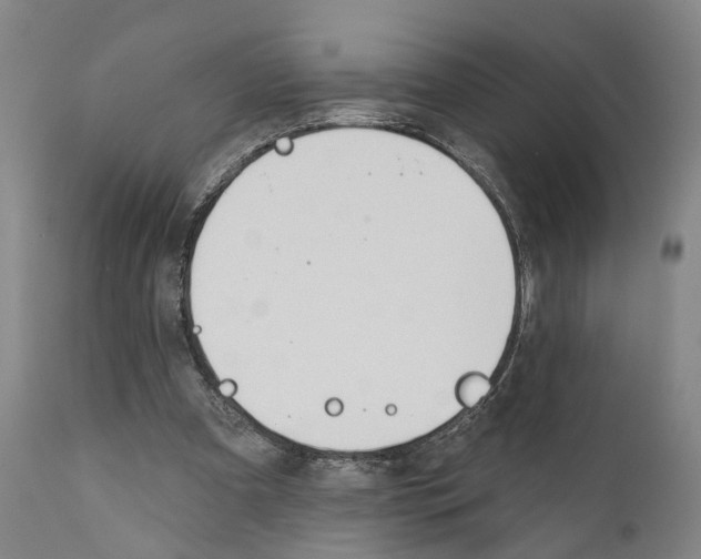 X0000111170297200908121053