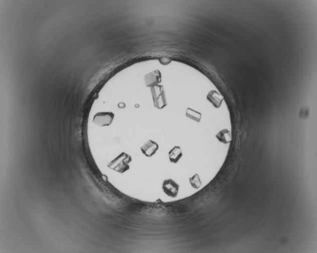 X0000111170299200908121053