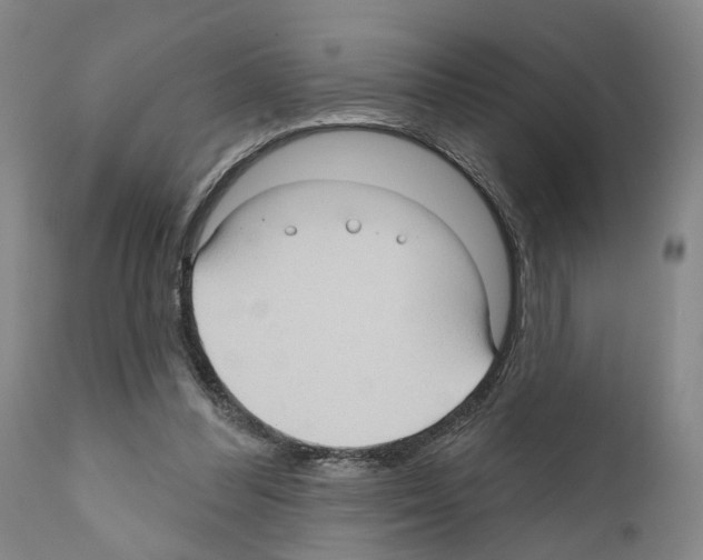 X0000111170300200908121053