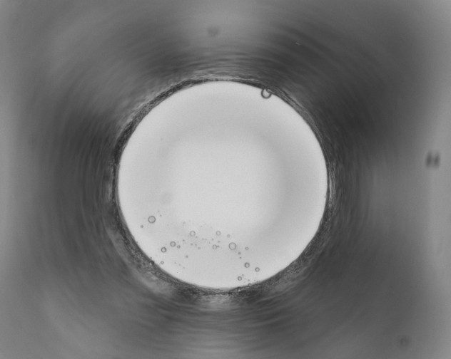 X0000111170301200908121053