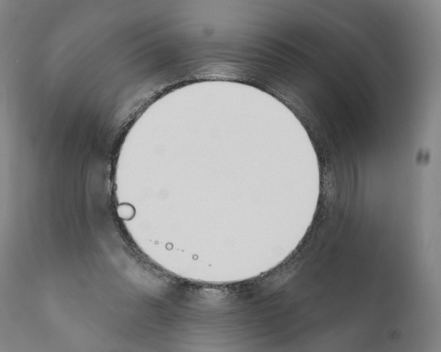 X0000111170302200908121053