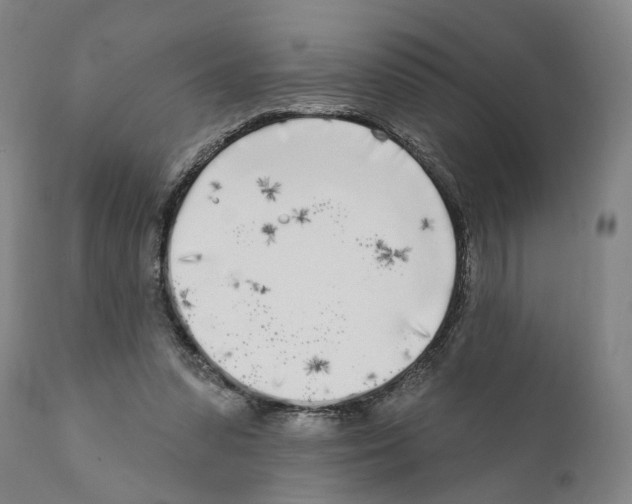 X0000111170303200908121053