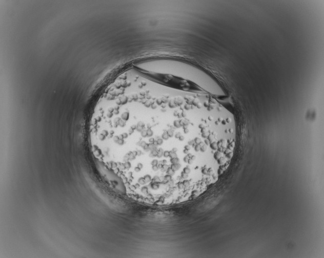 X0000111170304200908121053