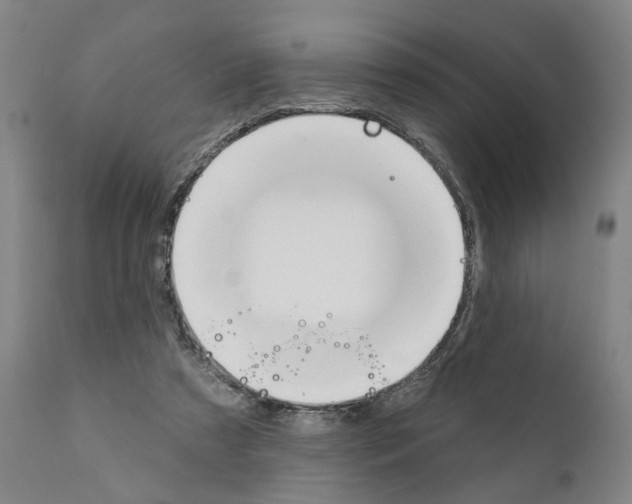 X0000111170305200908121053