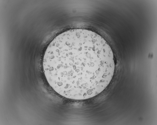 X0000111170306200908121053