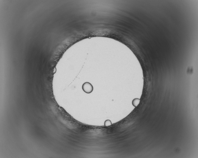 X0000111170307200908121053