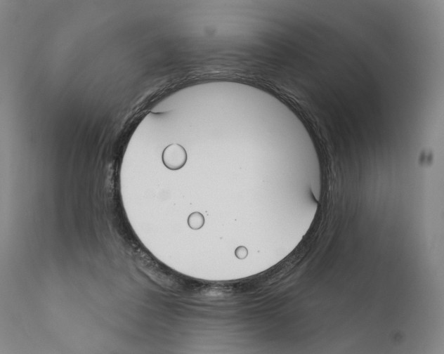 X0000111170308200908121053