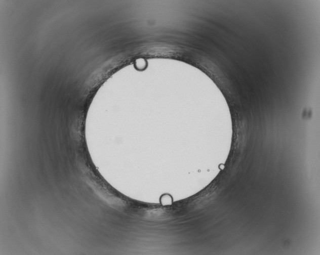 X0000111170309200908121053