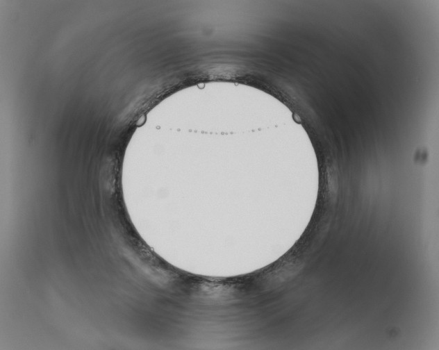 X0000111170311200908121053