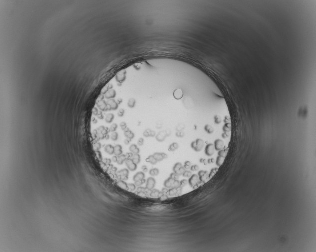 X0000111170312200908121053