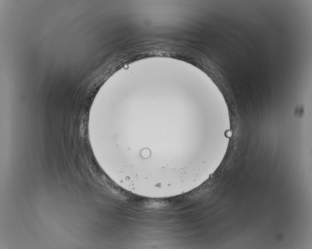 X0000111170313200908121053