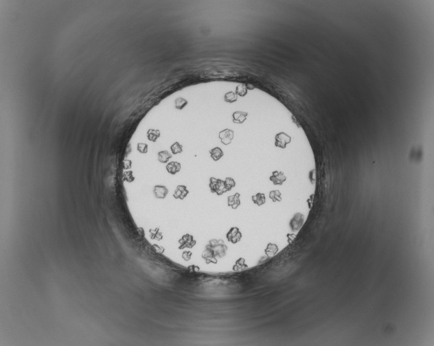 X0000111170315200908121053