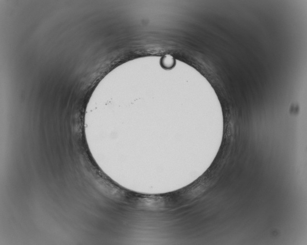 X0000111170317200908121053