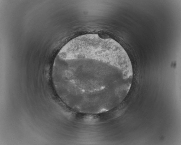 X0000111170319200908121053