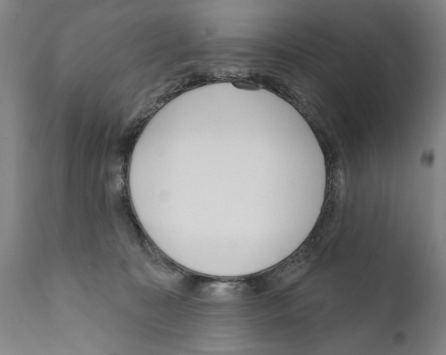 X0000111170323200908121053