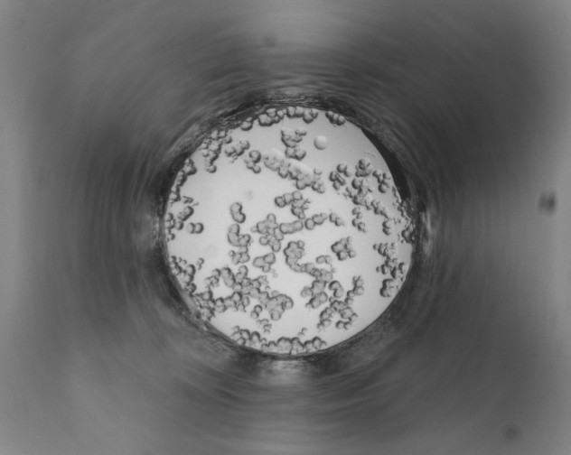 X0000111170324200908121053