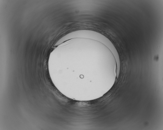 X0000111170327200908121053