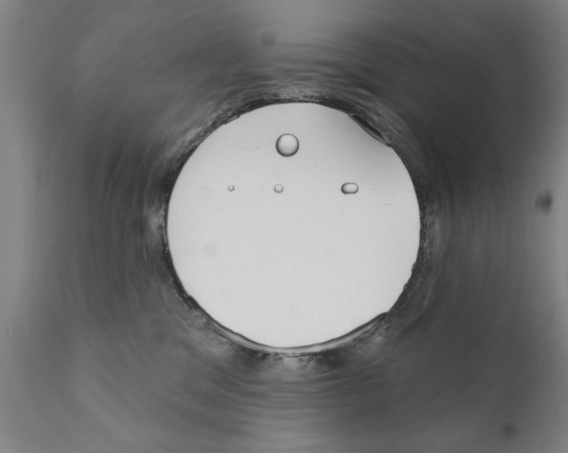 X0000111170329200908121053