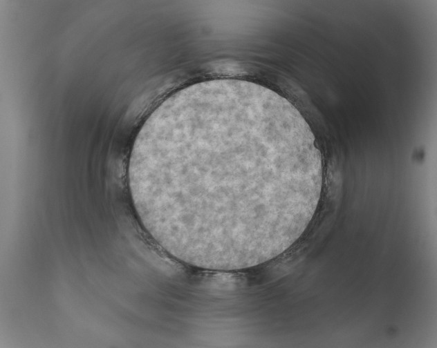 X0000111170330200908121053