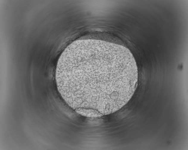 X0000111170331200908121053