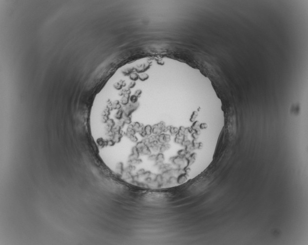 X0000111170332200908121053