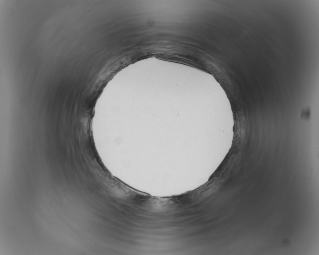 X0000111170333200908121053