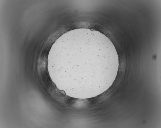 X0000111170334200908121053