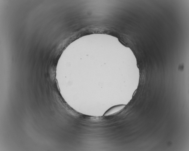 X0000111170335200908121053