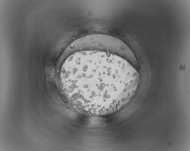 X0000111170336200908121052