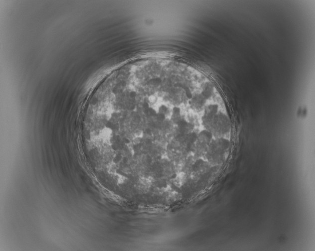 X0000111170337200908121051