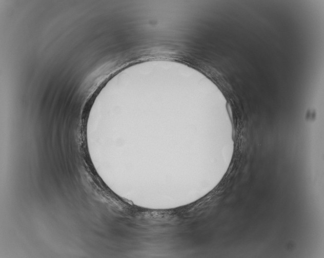 X0000111170338200908121052