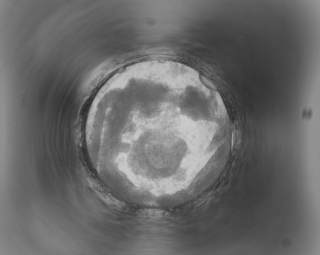 X0000111170339200908121052