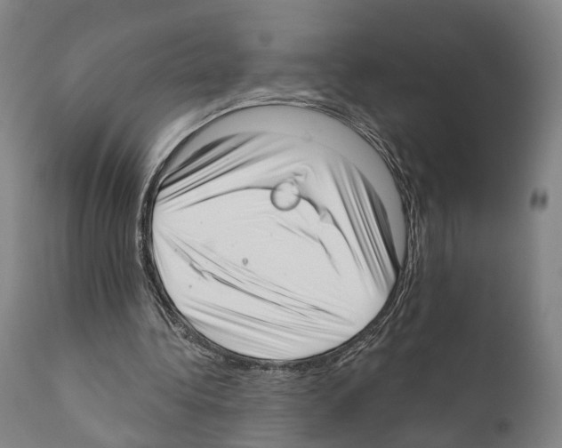 X0000111170340200908121052