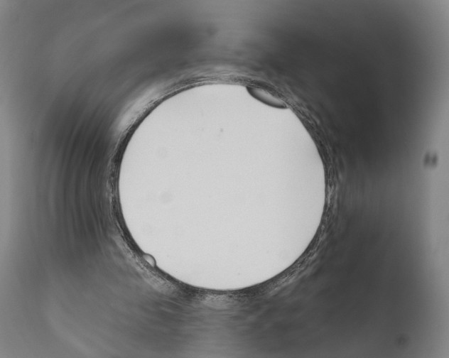 X0000111170341200908121052