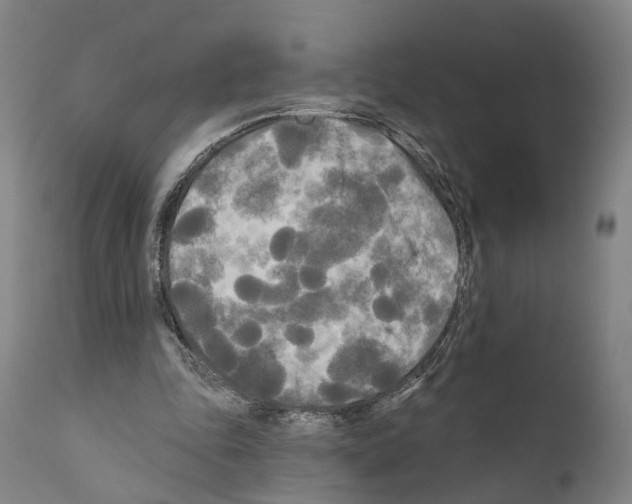 X0000111170343200908121052