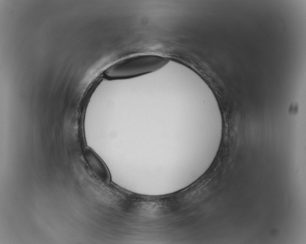 X0000111170344200908121052