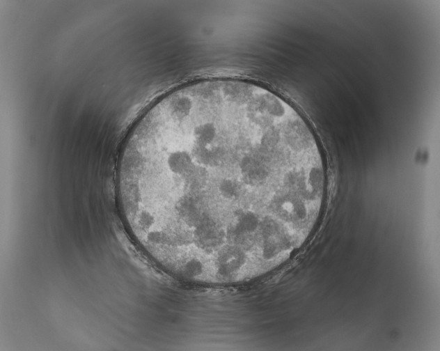 X0000111170345200908121052