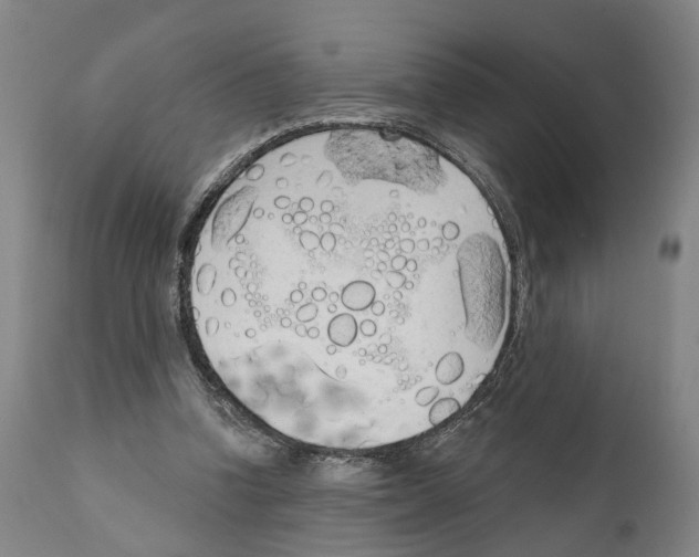 X0000111170346200908121052