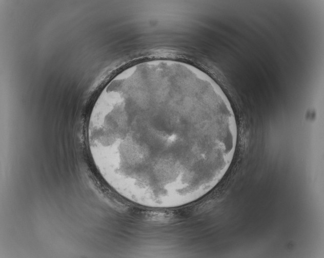 X0000111170347200908121052