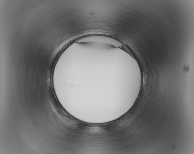 X0000111170348200908121052