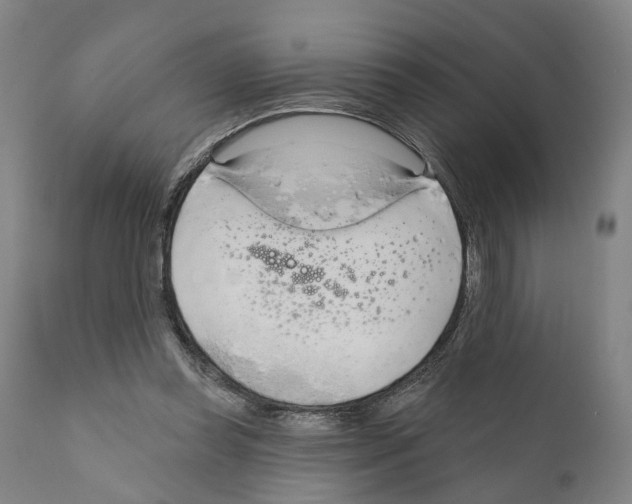 X0000111170349200908121052