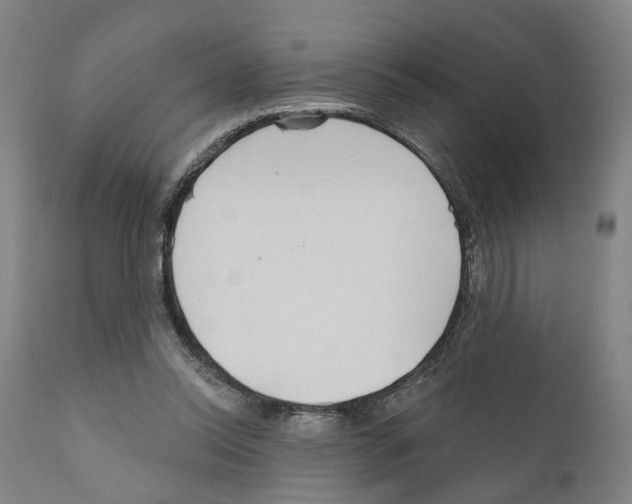 X0000111170350200908121052