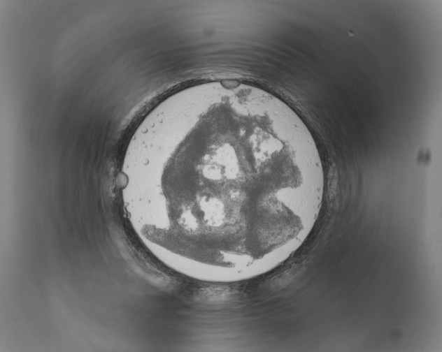 X0000111170351200908121052